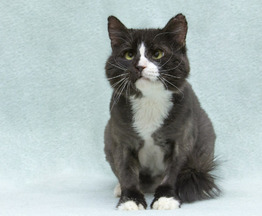 ����: ���������� ������ � ������� ������� ���� ���! - ���� 1 � ����������