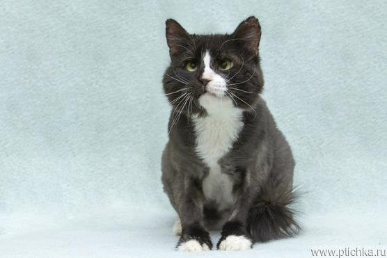 ����: ���������� ������ � ������� ������� ���� ���! - ���� 1 � ����������