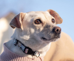 ��������� ������� ���� ���� ���! - ���� 1 � ����������