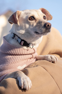 ��������� ������� ���� ���� ���! - ���� 1 � ����������