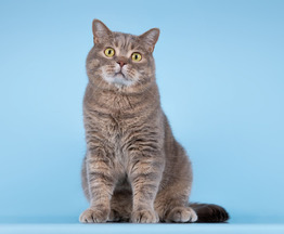 ��������� �������� � ������ ����. - ���� 1 � ����������