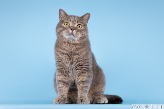 ��������� �������� � ������ ����. - ���� 1 � ����������