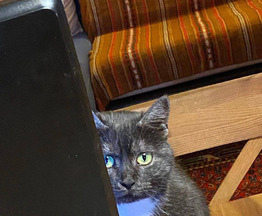 ����� ���� ���� ��� - ���� 1 � ����������