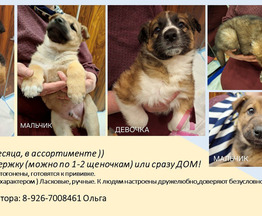 ��������� �������� ������� ������� ���� ���� ���! - ���� 1 � ����������