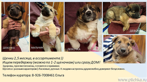 ��������� �������� ������� ������� ���� ���� ���! - ���� 1 � ����������