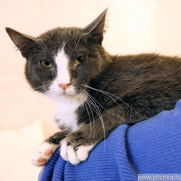 ��� ����� ���� ��� - ���� 1 � ����������