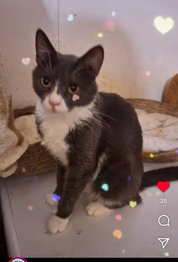 ����� ������ ���� ��� - ���� 1 � ����������