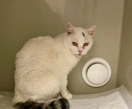 ����� ������� ���� ��� - ���� 1 � ����������