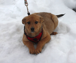 �������� ����� ���� ���� ������� ����� - ���� 1 � ����������