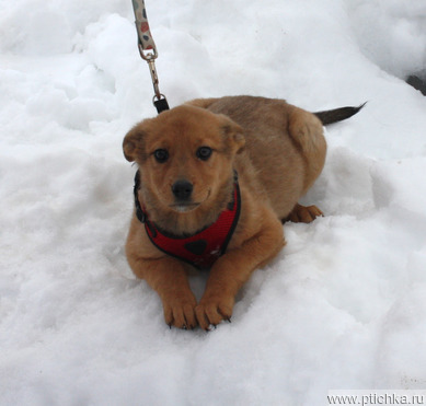 �������� ����� ���� ���� ������� ����� - ���� 1 � ����������