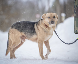 ������ ������� ������ ���� ������ ������� ��������, ���� �����! - ���� 1 � ����������