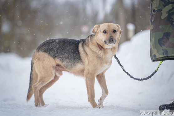 ������ ������� ������ ���� ������ ������� ��������, ���� �����! - ���� 1 � ����������