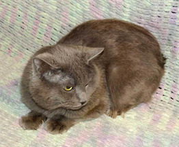 ����� ���� ���������� ������ - ���� 1 � ����������