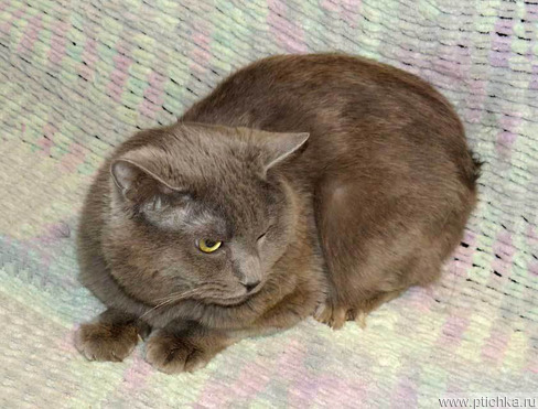 ����� ���� ���������� ������ - ���� 1 � ����������