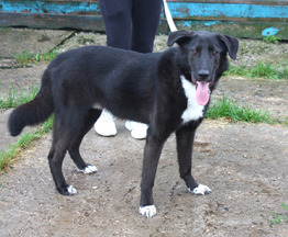 ������-��������� ����� ������� � ����� � ����!!! - ���� 1 � ����������