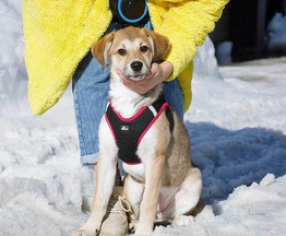 ������ ���� ���������� ������ - ���� 1 � ����������