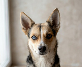 ��� - ����������� ������� � ������� �� ������ ����� - ���� 1 � ����������