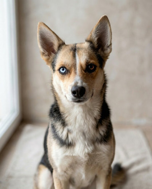 ��� - ����������� ������� � ������� �� ������ ����� - ���� 1 � ����������