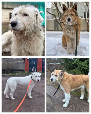 ������ ���� ���������� ������ - ���� 1 � ����������