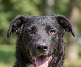 �����. ��������� ������ ��� ��������! - ���� 1 � ����������