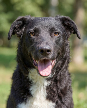 �����. ��������� ������ ��� ��������! - ���� 1 � ����������