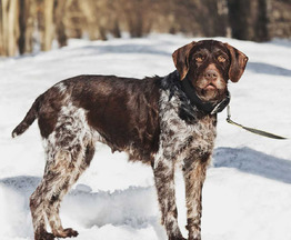 �������� �������� ����� � ������ ���� - ���� 1 � ����������