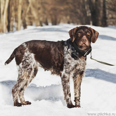 �������� �������� ����� � ������ ���� - ���� 1 � ����������