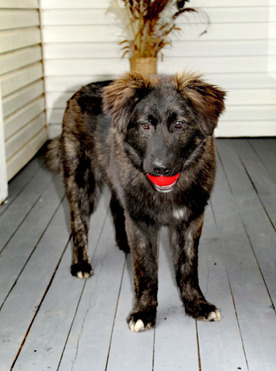 ������������ ���� ���������� ������ - ����������  � ����������