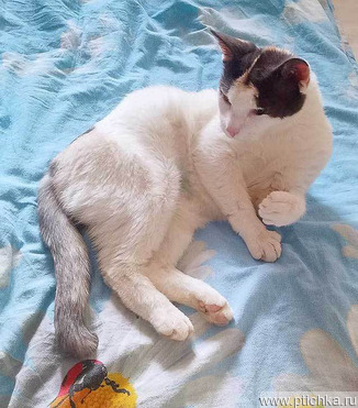 ����� ���� ���������� ������ - ���� 1 � ����������