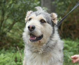 �������������� � ������� ���� ˸����� - ���� 1 � ����������