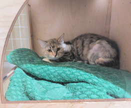 ?�������-��������� ������� ���� ���� ���! - ���� 1 � ����������