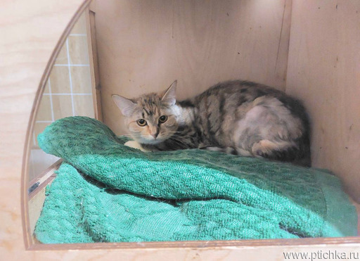 ?�������-��������� ������� ���� ���� ���! - ���� 1 � ����������