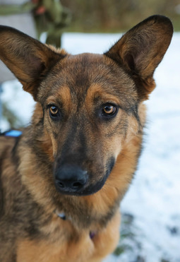 ���� ���� ��� - ���� 1 � ����������