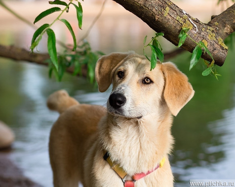 Ը��� ���� ��� - ���� 1 � ����������