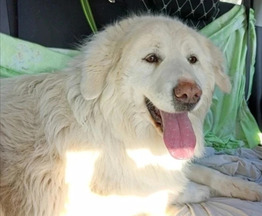 ����� ���� ��� � ����� - ���� 1 � ����������