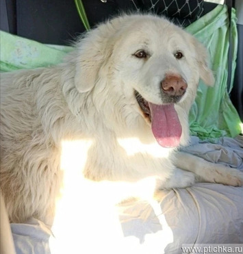 ����� ���� ��� � ����� - ���� 1 � ����������