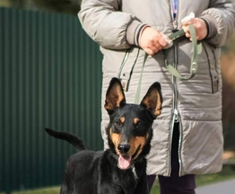 �����, ����� �������, � ������ ���� - ���� 1 � ����������