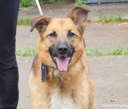 ���������� ����� � ������� ����� �����! - ���� 1 � ����������