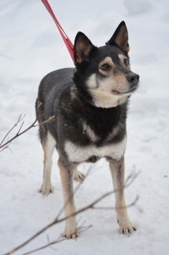 ���� ������� ������ ��������� ������� ���� - ���� 1 � ����������