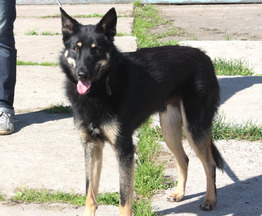 ��������� �������� ���� ��� � ������� ����� - ���� 1 � ����������