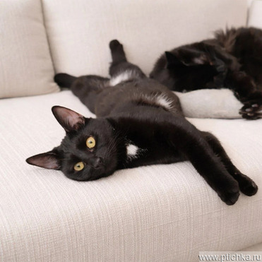 ������� ������� �������� ���� ����� ������ - ���� 1 � ����������