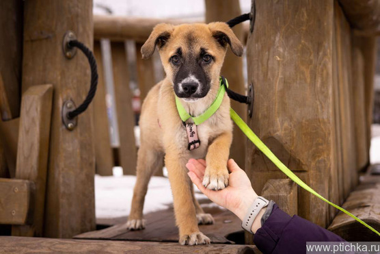 ������ ���� ���������� ������ - ���� 1 � ����������