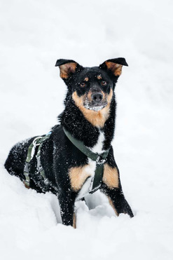 ������ ���� ���������� ������ - ���� 1 � ����������