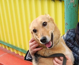 ����� � ������� ���� � ������� ����� - ���� 1 � ����������