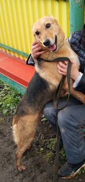 ����� � ������� ���� � ������� ����� - ���� 1 � ����������