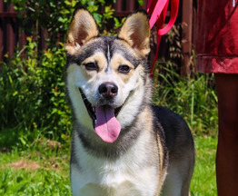 ��� �����, ������ � ���������. ���� �����! - ���� 1 � ����������