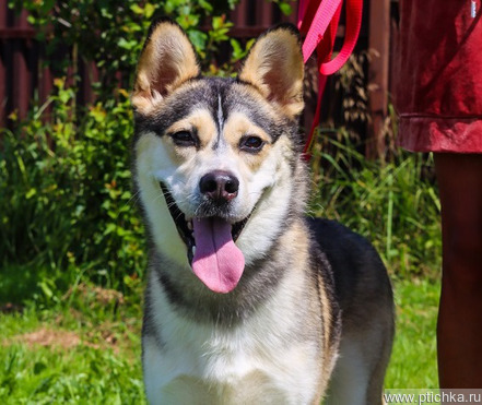 ��� �����, ������ � ���������. ���� �����! - ���� 1 � ����������