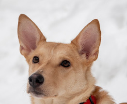 ��������� ������� ����� ���� ��� � �����! - ���� 1 � ����������