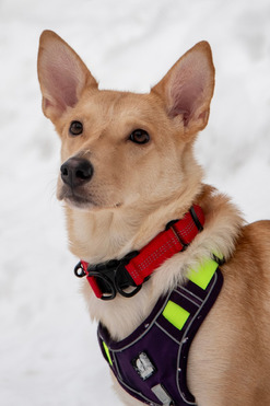 ��������� ������� ����� ���� ��� � �����! - ���� 1 � ����������