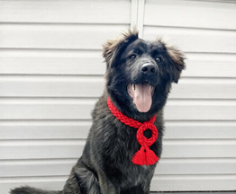 �������� ������� ����� ���� ���������� ������ - ����������  � ����������